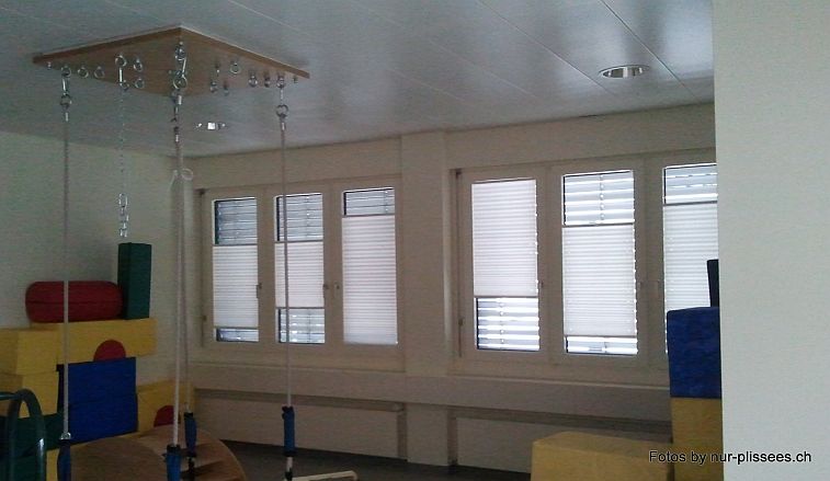 Plissees und Faltstoren by nur-plissees.ch