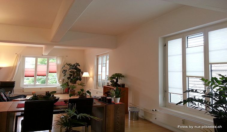 Plissees Faltstoren by nur-plissees.ch